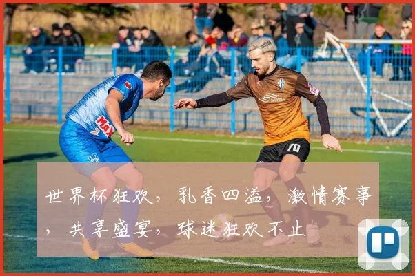 世界杯狂欢，乳香四溢，激情赛事，共享盛宴，球迷狂欢不止