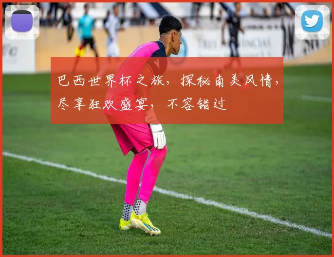 巴西世界杯之旅，探秘南美风情，尽享狂欢盛宴，不容错过