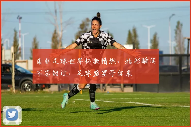 南非足球世界杯激情燃，精彩瞬间不容错过，足球盛宴等你来