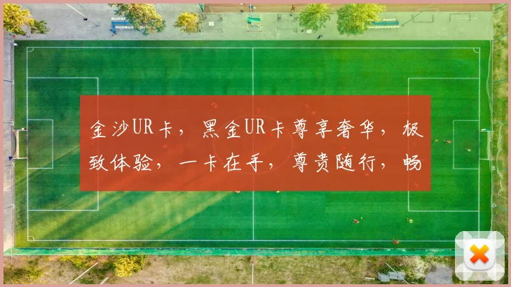 金沙UR卡，黑金UR卡尊享奢华，极致体验，一卡在手，尊贵随行，畅享无限